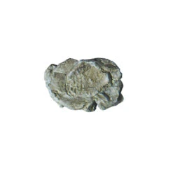 Wind Rock Mold -C1237