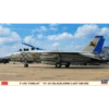 Hasegawa F-14D Tomcat VF-213 Blacklions Last Cruise -02406 -Radiobesturing En Modellen hasegawa 02406 800x800 1